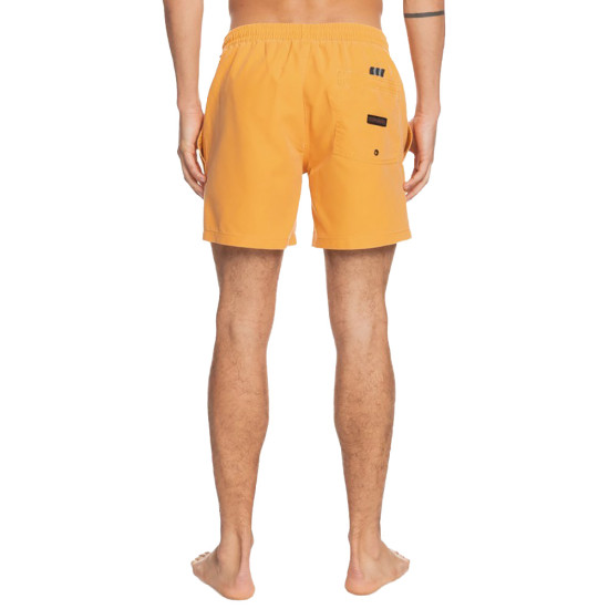 Quiksilver Ανδρικό μαγιό Surfwash 15" - Swim Shorts for Men
